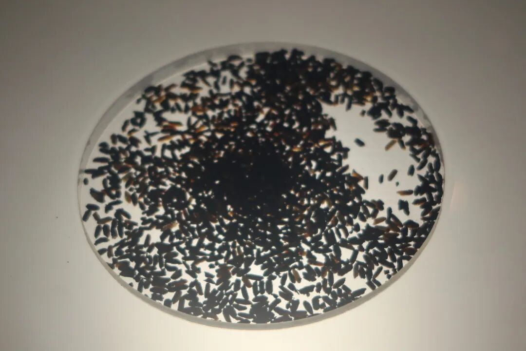 DƬ